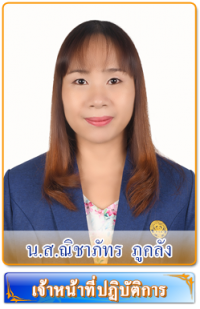 Nichapat P